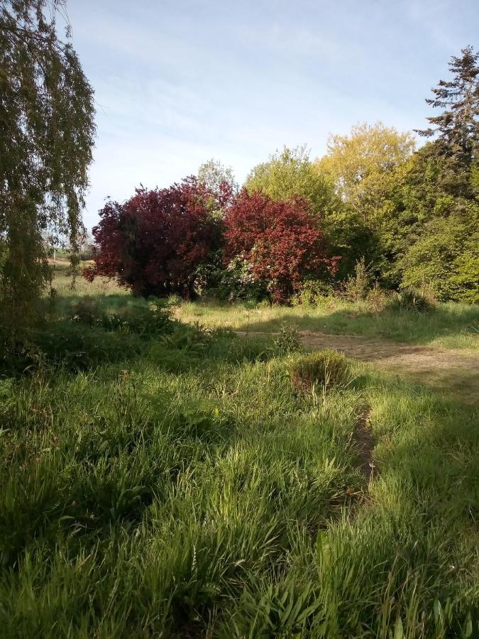 Le Chevalier Des Marettes Bed & Breakfast Airel Bagian luar foto