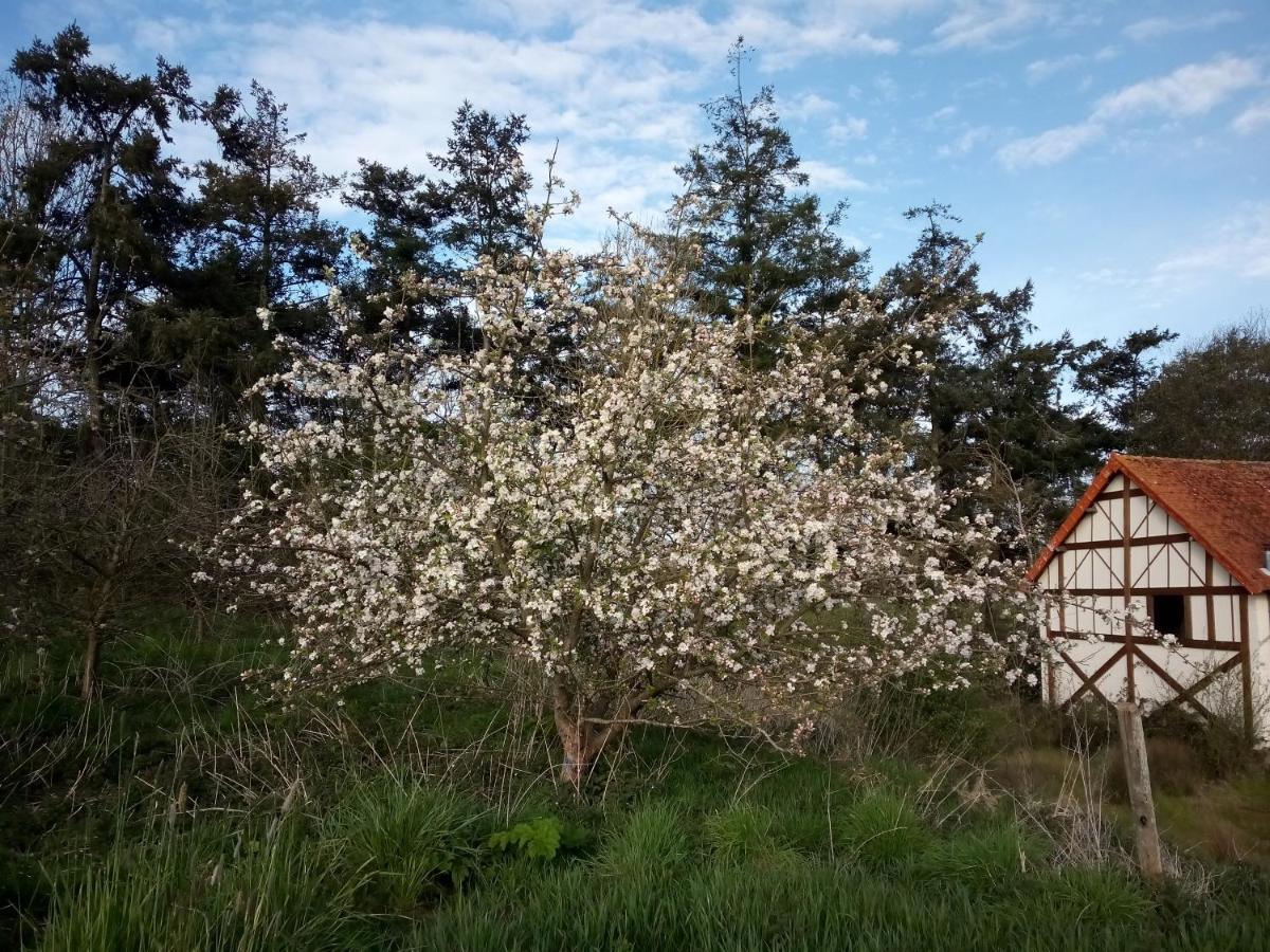 Le Chevalier Des Marettes Bed & Breakfast Airel Bagian luar foto